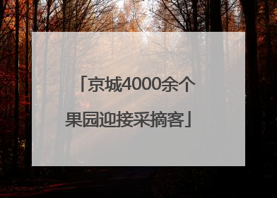 京城4000余个果园迎接采摘客