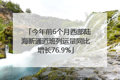 今年前6个月西部陆海新通道班列运量同比增长76.9%