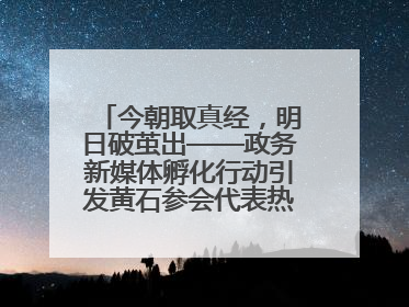 今朝取真经，明日破茧出——政务新媒体孵化行动引发黄石参会代表热烈反响