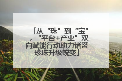 从“珠”到“宝”，“平台+产业”双向赋能行动助力诸暨珍珠升级蜕变