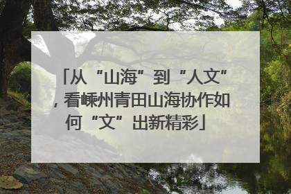 从“山海”到“人文”，看嵊州青田山海协作如何“文”出新精彩