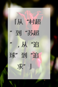从“村超”到“苏超”，从“追球”到“追求”