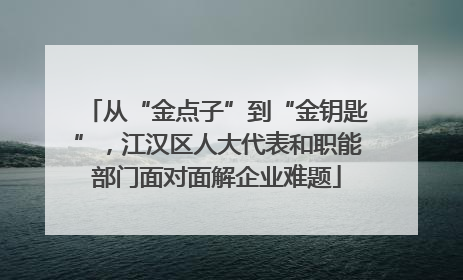 从“金点子”到“金钥匙”，江汉区人大代表和职能部门面对面解企业难题