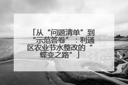 从“问题清单”到“示范答卷”：利通区农业节水整改的“蝶变之路”