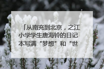 从南充到北京，之江小学学生唐海铃的日记本写满“梦想”和“世界”｜您牵挂的四川