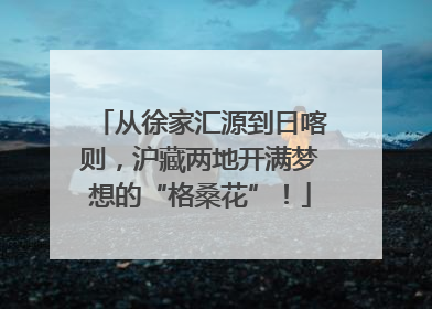 从徐家汇源到日喀则，沪藏两地开满梦想的“格桑花”！