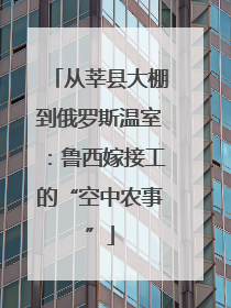 从莘县大棚到俄罗斯温室：鲁西嫁接工的“空中农事”