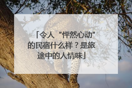 令人“怦然心动”的民宿什么样？是旅途中的人情味