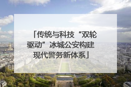传统与科技“双轮驱动”冰城公安构建现代警务新体系