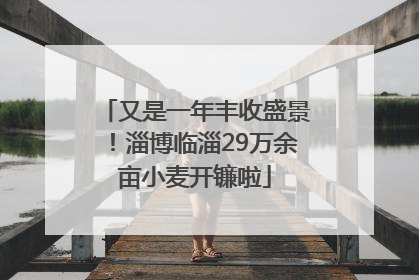 又是一年丰收盛景！淄博临淄29万余亩小麦开镰啦