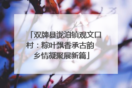 双牌县泷泊镇观文口村：粽叶飘香承古韵 乡情凝聚展新篇