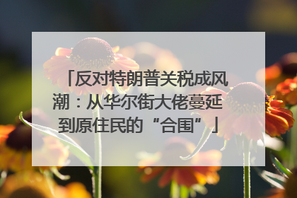 反对特朗普关税成风潮：从华尔街大佬蔓延到原住民的“合围”