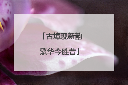 古埠现新韵 繁华今胜昔