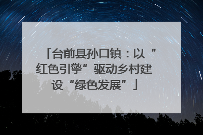 台前县孙口镇：以“红色引擎”驱动乡村建设“绿色发展”