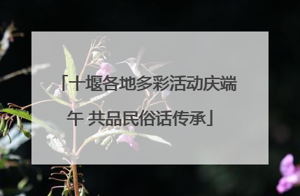 十堰各地多彩活动庆端午 共品民俗话传承