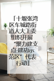 十堰张湾区车城路街道人大工委组织开展 “聚力建支点·建功示范区”代表行动