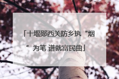十堰郧西关防乡执“烟”为笔 谱就富民曲