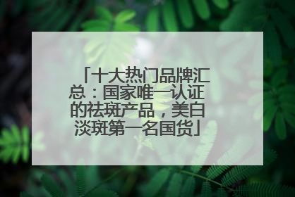 十大热门品牌汇总：国家唯一认证的祛斑产品，美白淡斑第一名国货