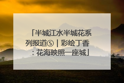 半城江水半城花系列报道⑤｜彩绘丁香：花海映照一座城