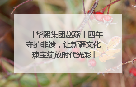 华熙集团赵燕十四年守护非遗，让新疆文化瑰宝绽放时代光彩