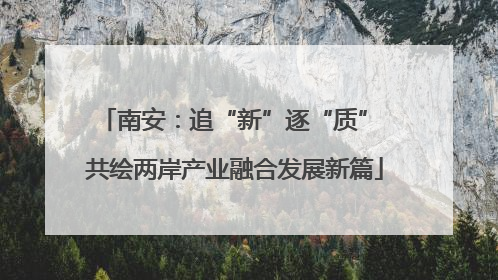 南安：追“新”逐“质” 共绘两岸产业融合发展新篇