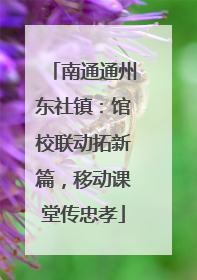 南通通州东社镇：馆校联动拓新篇，移动课堂传忠孝
