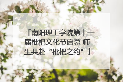 南阳理工学院第十一届枇杷文化节启幕 师生共赴“枇杷之约”