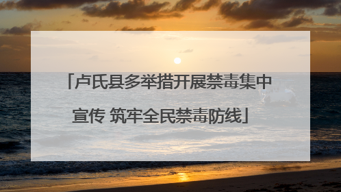 卢氏县多举措开展禁毒集中宣传 筑牢全民禁毒防线
