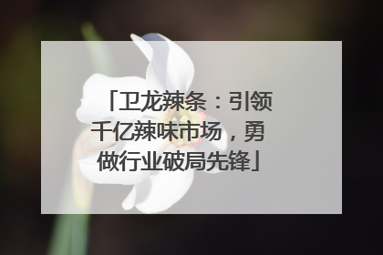 卫龙辣条：引领千亿辣味市场，勇做行业破局先锋