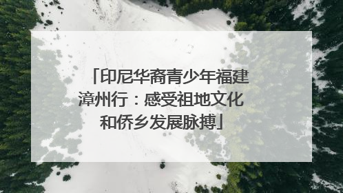 印尼华裔青少年福建漳州行：感受祖地文化和侨乡发展脉搏