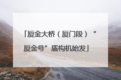 厦金大桥（厦门段）“厦金号”盾构机始发
