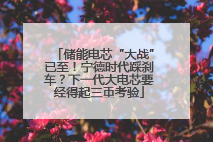 储能电芯“大战”已至！宁德时代踩刹车？下一代大电芯要经得起三重考验