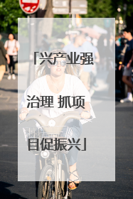 兴产业强治理 抓项目促振兴