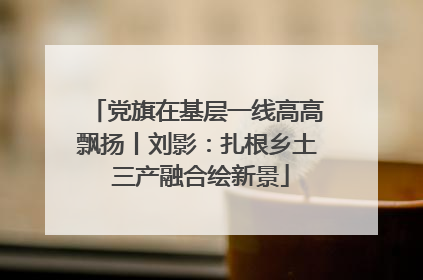 党旗在基层一线高高飘扬丨刘影：扎根乡土 三产融合绘新景