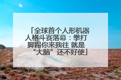 全球首个人形机器人格斗赛落幕：拳打脚踢你来我往 就是“大脑”还不好使