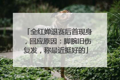 全红婵退赛后首现身，回应原因：脚腕旧伤复发，称最近挺好的