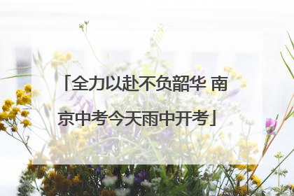 全力以赴不负韶华 南京中考今天雨中开考