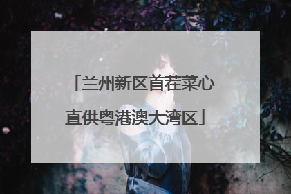 兰州新区首茬菜心直供粤港澳大湾区