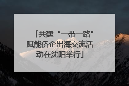 共建“一带一路”赋能侨企出海交流活动在沈阳举行