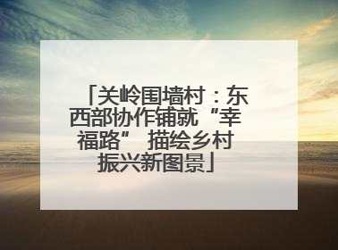 关岭围墙村：东西部协作铺就“幸福路” 描绘乡村振兴新图景