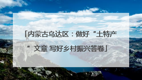 内蒙古乌达区：做好“土特产”文章 写好乡村振兴答卷