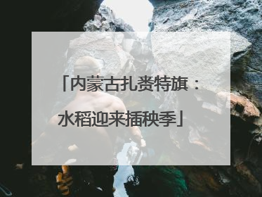 内蒙古扎赉特旗：水稻迎来插秧季