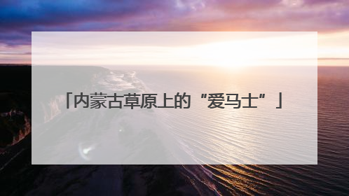 内蒙古草原上的“爱马士”