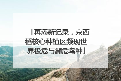 再添新记录，京西稻核心种植区频现世界极危与濒危鸟种