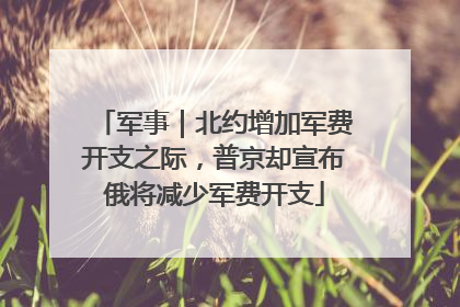 军事｜北约增加军费开支之际，普京却宣布俄将减少军费开支