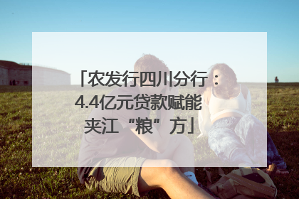 农发行四川分行：4.4亿元贷款赋能夹江“粮”方