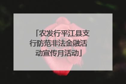 农发行平江县支行防范非法金融活动宣传月活动