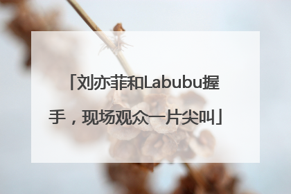 刘亦菲和Labubu握手，现场观众一片尖叫