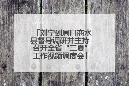 刘宁到周口商水县督导调研并主持召开全省“三夏”工作视频调度会