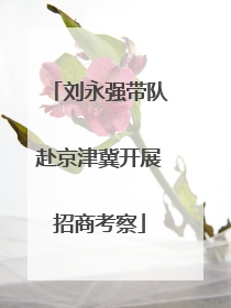 刘永强带队赴京津冀开展招商考察